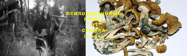 дживик Баксан